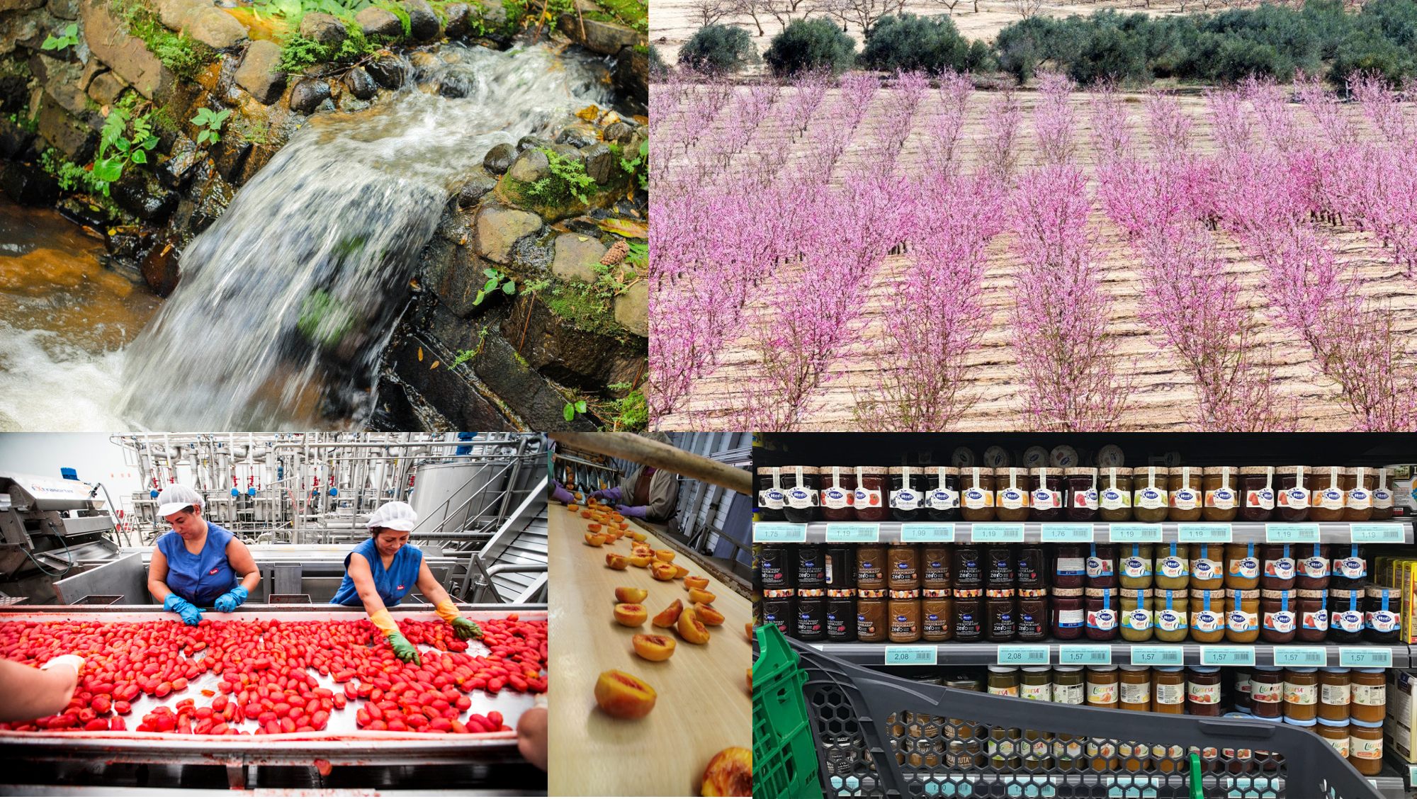 Imagen representativa GO huella hidrica1